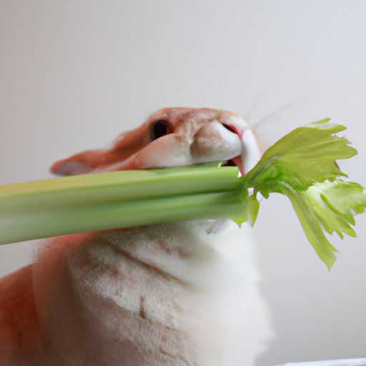 Can Rabbits eat Celery?